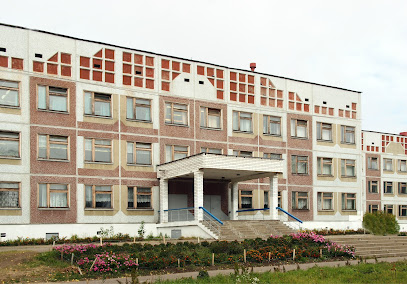 Школа № 50 имени А.О. Шабалина