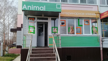 Animal, Ветеринарная Клиника
