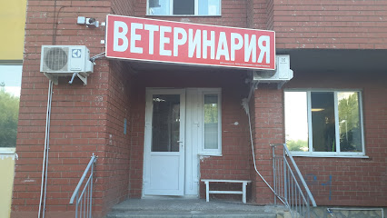 Зверек Сити Оренбург Магазин