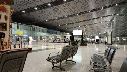 Международный аэропорт имени Нетаджи Субхас Чандра Боса