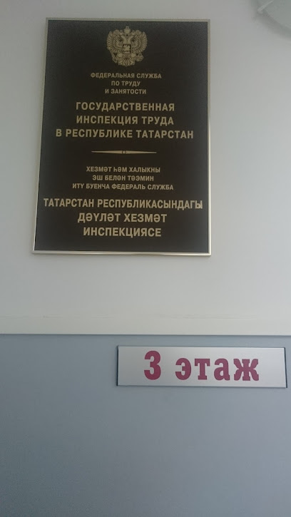 Государственная инспекция труда в Республике Татарстан