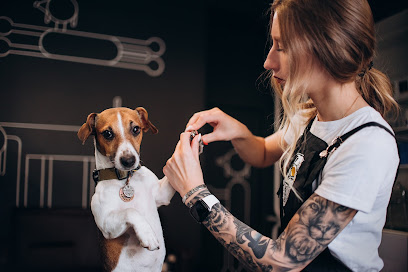 Груминг салон "Barberdog", стрижка собак и кошек