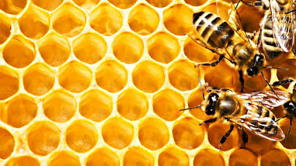 Bionica | Магазин меда и пчелопродукции