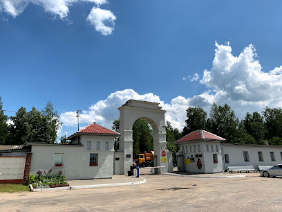 Чижовское кладбище
