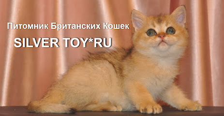 Silver Toy*Ru