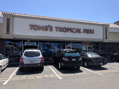 Tong's Tropical Fish & Pets