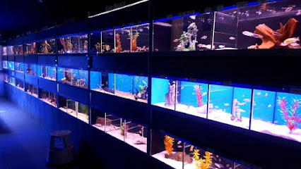 L'Aquarium