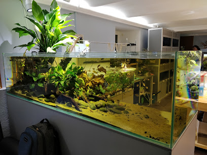 BioBox Студия профессиональной аквариумистики и террариумистики