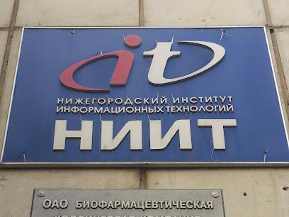 Нижегородский Институт Информационных Технологий