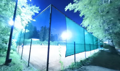 Теннисный корт