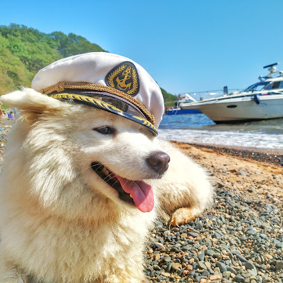 Морские прогулки "Катер Морской Собаки"