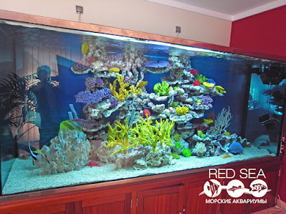 AQUA RED SEA - аквариумы на заказ, обслуживание аквариумов