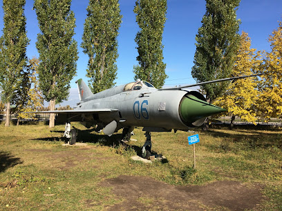 МиГ-21БИС