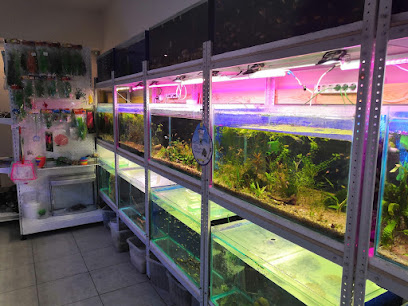 Aqua Fish friends магазин аквариумных рыбок и аквариумов