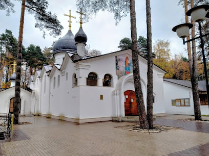 Храм священномученика Владимира