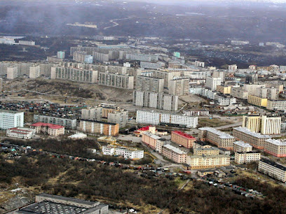 ЦЕНТРАЛЬНАЯ РАЙОННАЯ БОЛЬНИЦА ЗАТО Г. СЕВЕРОМОРСК