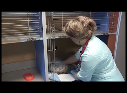 Ветеринарная Клиника "Рыжий Кот"