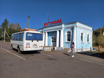 Автовокзал Тросна