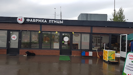 Спорт, рыбалка, туризм