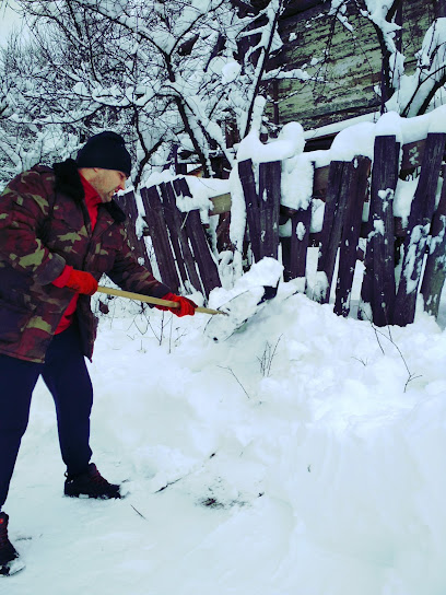 Слов’янські шпалери