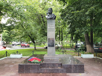 Памятник П.М. Вострухину